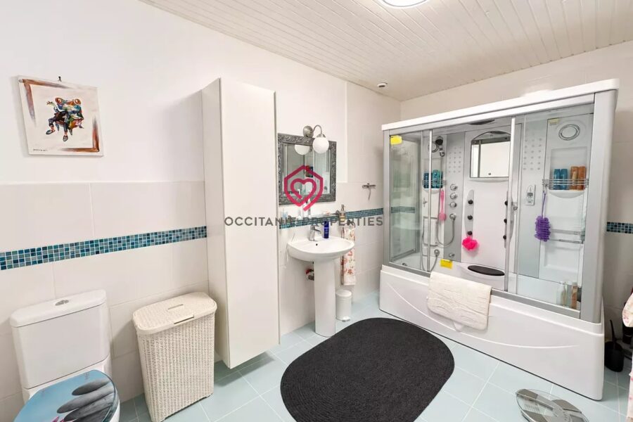 Maison à vendre à Belvèze-du-Razès — Vue parc & jardin — photo 24