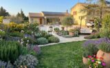 Maison à vendre à Saint-Rémy-de-Provence — Vue parc & jardin — photo 3