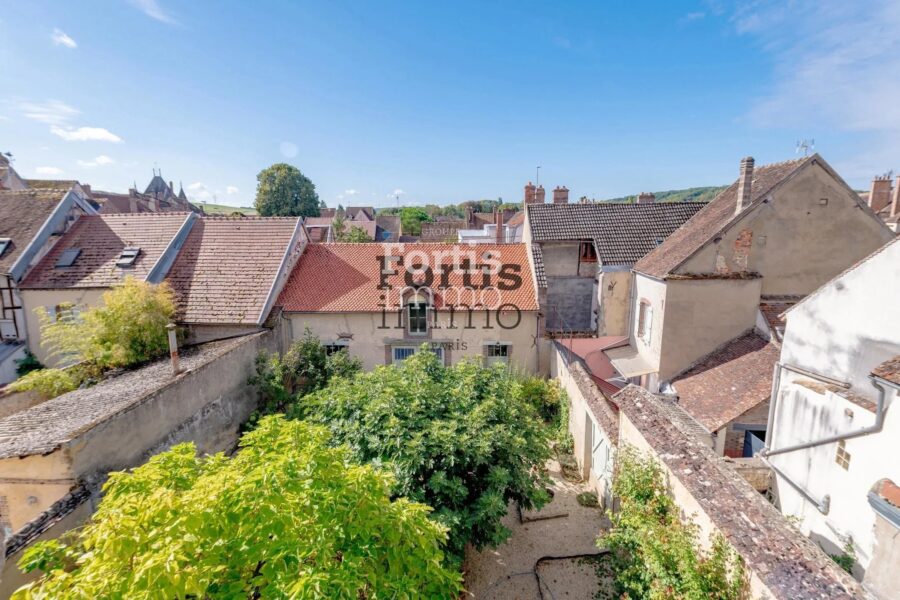 Maison à vendre à Villeneuve-sur-Yonne — Vue parc & jardin — photo 45