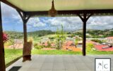 Maison à vendre à Ducos — Vue montagne — photo 8