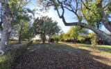 Maison à vendre à Vandenesse — Vue nature — photo 1