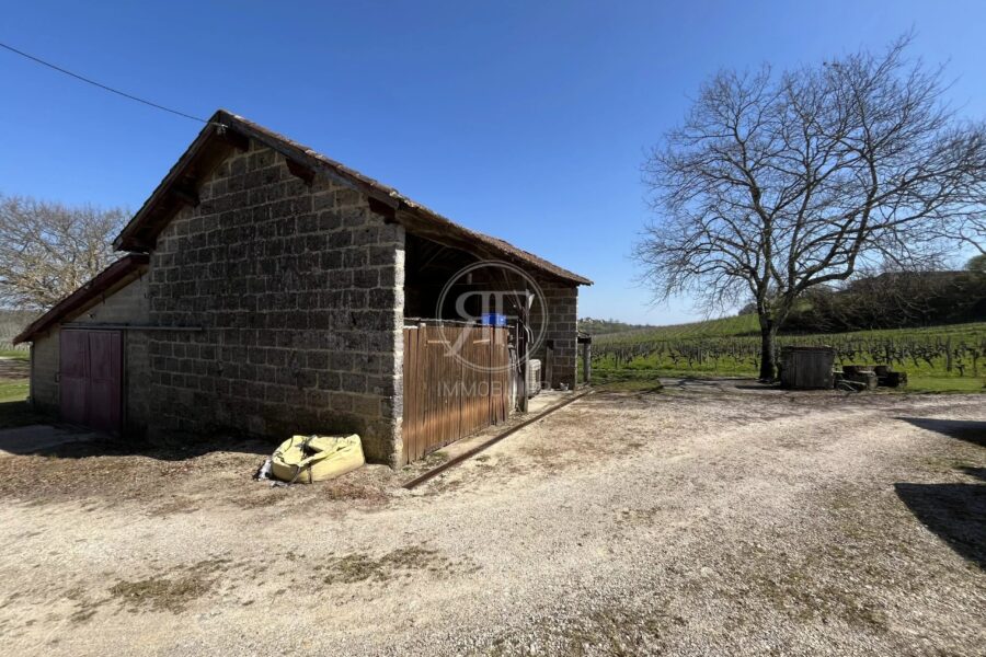 Maison à vendre à Saint-Émilion — Vue vignes — photo 22