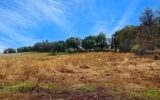 Maison à vendre à Mirandol-Bourgnounac — Vue nature — photo 1