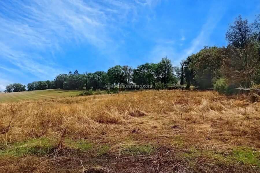 Maison à vendre à Mirandol-Bourgnounac — Vue nature — photo 1