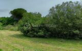 Terrain à vendre à Canet-en-Roussillon — photo 8