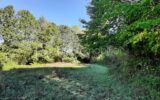 Terrain à vendre à Chaillac-sur-Vienne — Vue lac — photo 8
