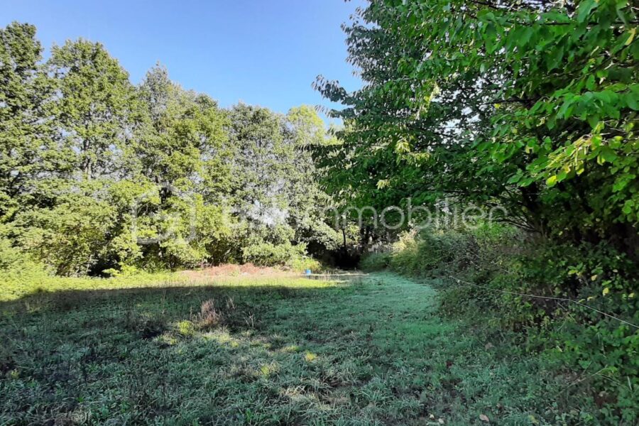 Terrain à vendre à Chaillac-sur-Vienne — Vue lac — photo 8