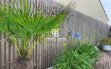 Maison à vendre à Les Sables-d&rsquo;Olonne — Vue parc & jardin — photo 10