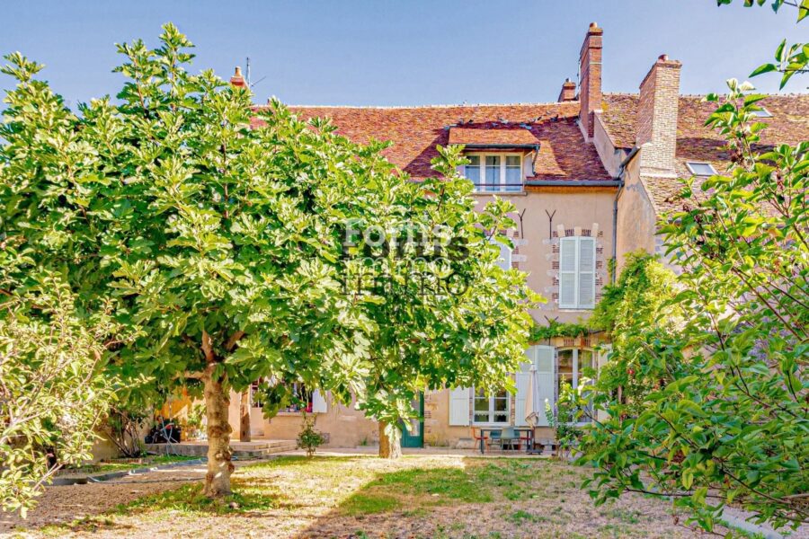 Maison à vendre à Villeneuve-sur-Yonne — Vue parc & jardin — photo 2