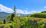 Appartement à vendre à Mandelieu-la-Napoule — Vue mer — photo 14