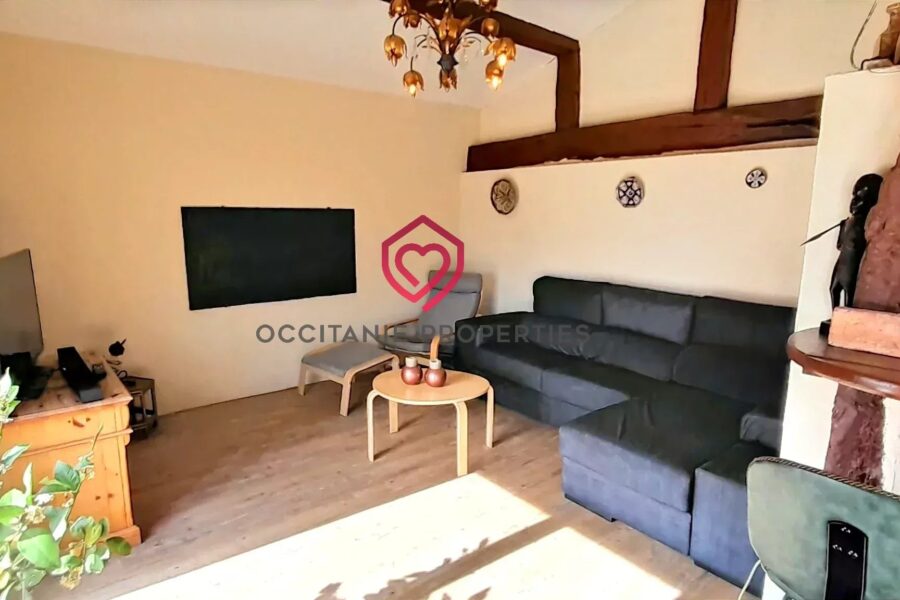 Maison à vendre à Riscle — Vue montagne — photo 20