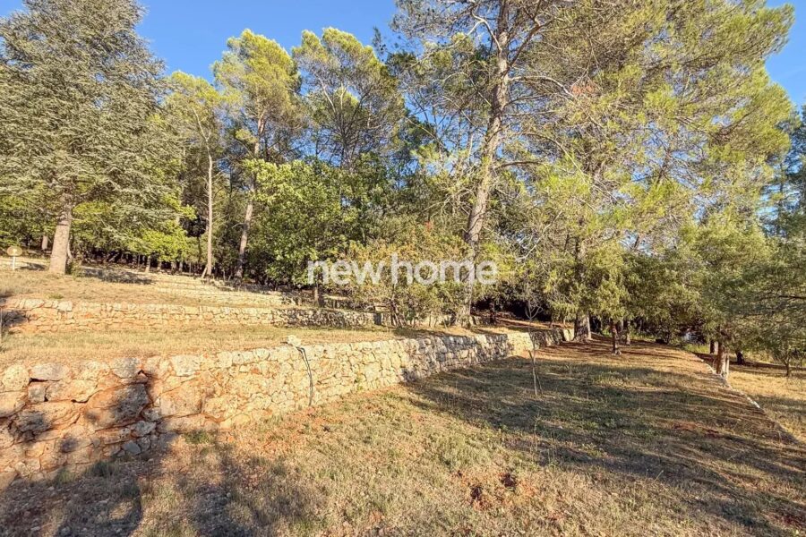 Maison à vendre à Lorgues — Vue nature — photo 32