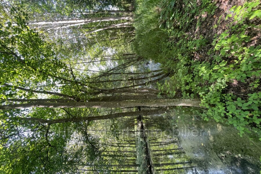 Terrain à vendre à Flixecourt — Vue fleuve — photo 7