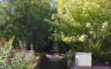 Maison à vendre à Onlay — Vue montagne — photo 17