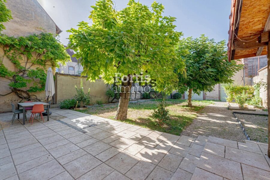 Maison à vendre à Villeneuve-sur-Yonne — Vue parc & jardin — photo 32