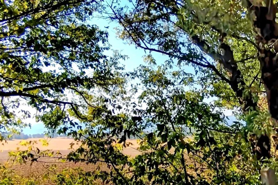 Maison à vendre à Soual — Vue montagne — photo 21