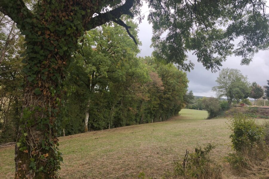 Maison à vendre à Biches — Vue nature — photo 1