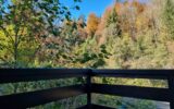 Appartement à vendre à Morillon — Vue nature — photo 1