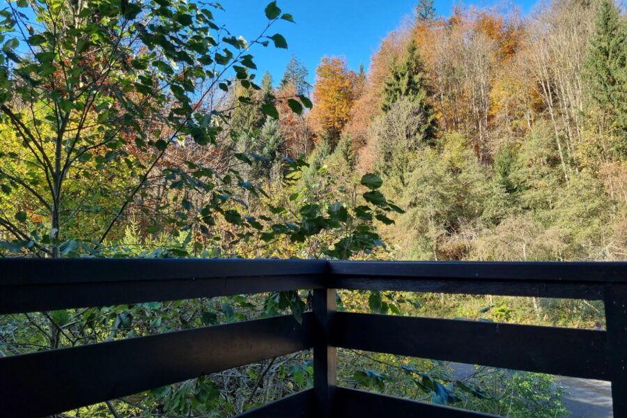 Appartement à vendre à Morillon — Vue nature — photo 1