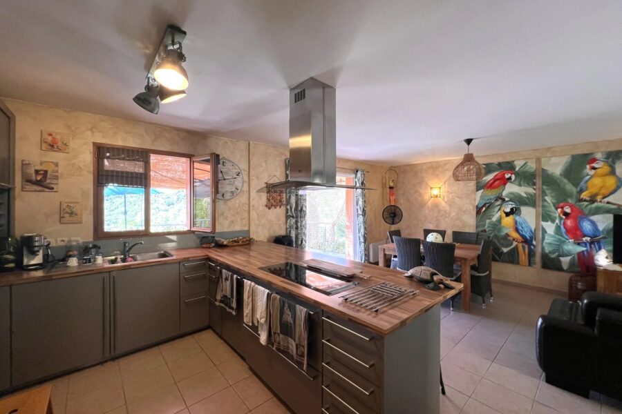 Maison à vendre à Biot — Vue montagne — photo 26