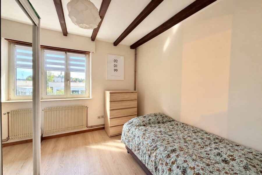 Maison à vendre à Altkirch — Vue sur la ville — photo 9