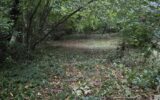 Terrain à vendre à Waterloo — Vue dégagée — photo 3