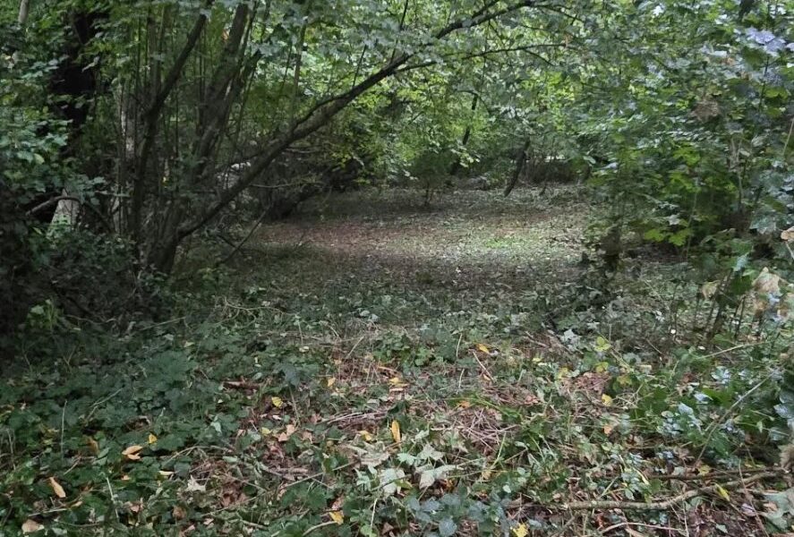 Terrain à vendre à Waterloo — Vue dégagée — photo 3