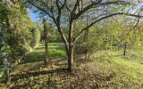 Maison à vendre à Giberville — Vue parc & jardin — photo 65