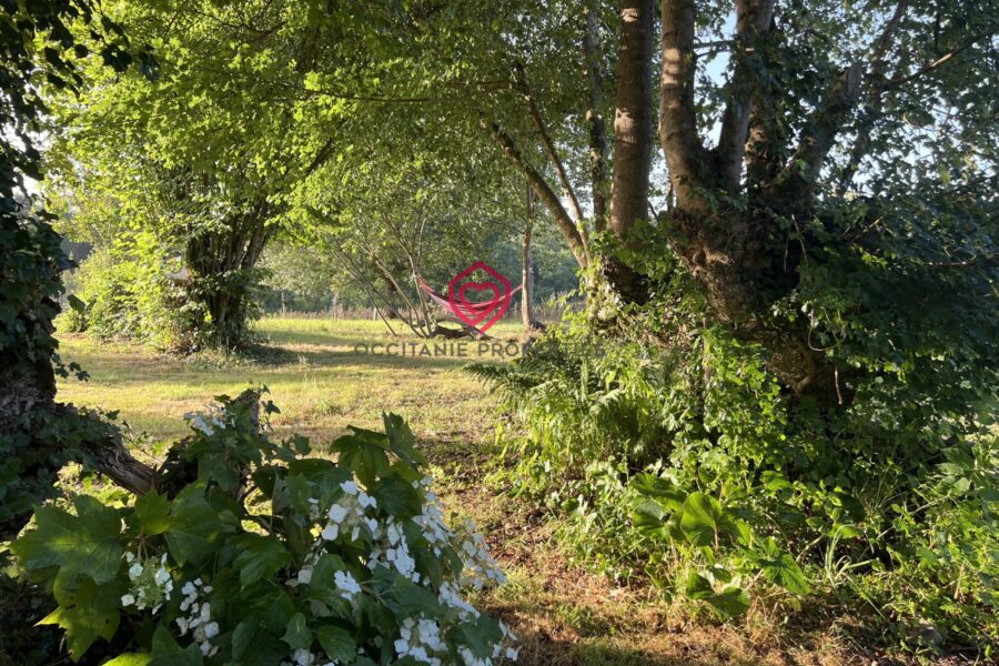 Maison à vendre à Aspet — Vue montagne — photo 34