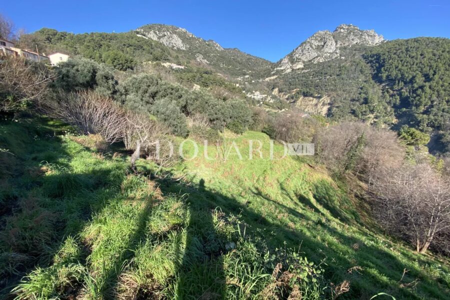 Terrain à vendre à Sainte-Agnès — Vue mer — photo 3
