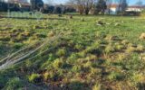 Terrain à vendre à Le Poiré-sur-Vie — Vue dégagée — photo 1