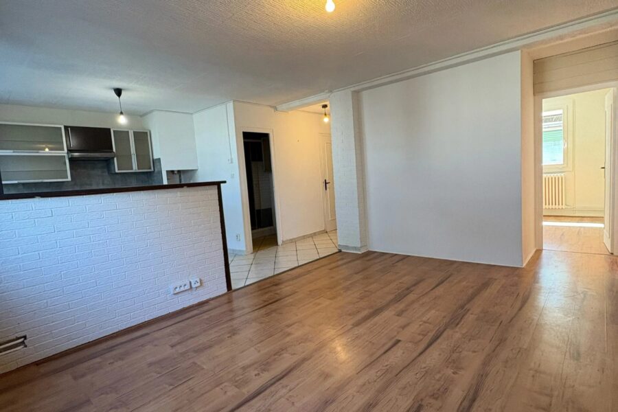 Appartement à louer à Saint-Étienne — Vue nature — photo 5