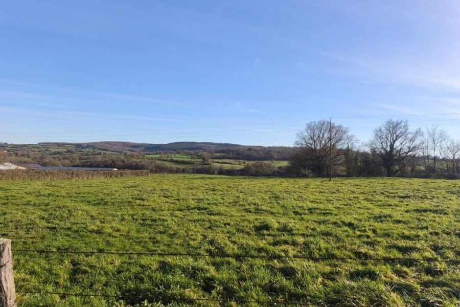 Maison à vendre à Savigny-Poil-Fol — Vue montagne — photo 10