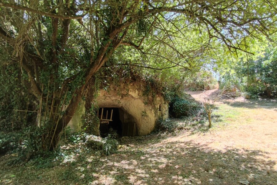 Maison à vendre à Lerné — Vue nature — photo 10