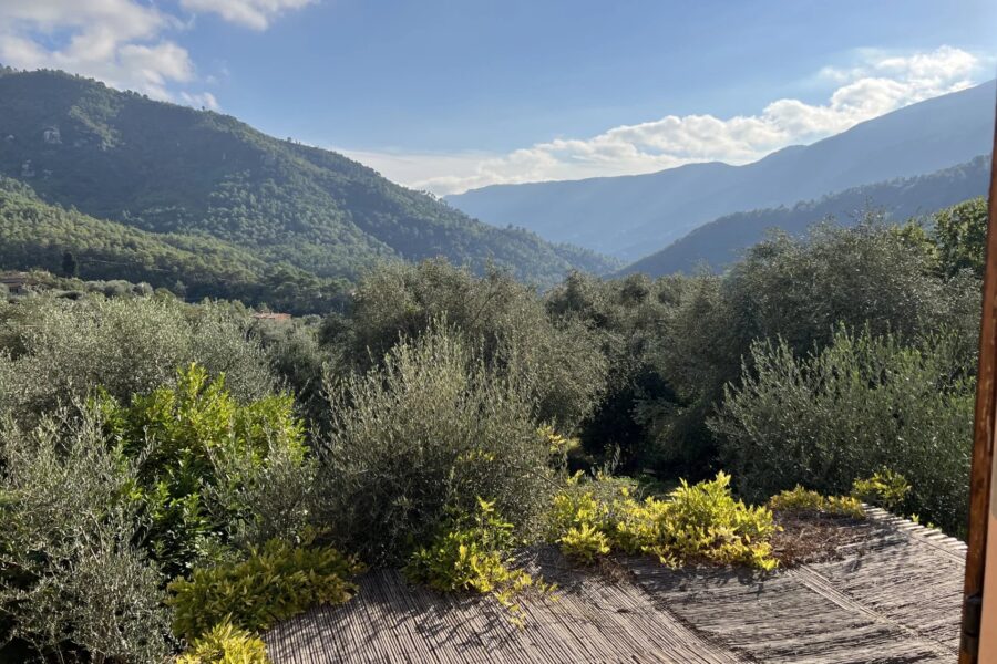 Maison à vendre à Coaraze — Vue montagne — photo 9