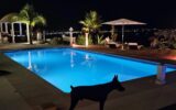 Maison à vendre à Cannes — Vue mer — photo 53