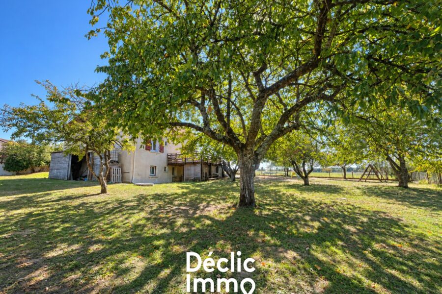 Maison à vendre à Bonneuil-Matours — Vue nature — photo 12