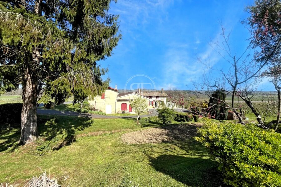 Maison à vendre à Saint-Émilion — Vue vignes — photo 4