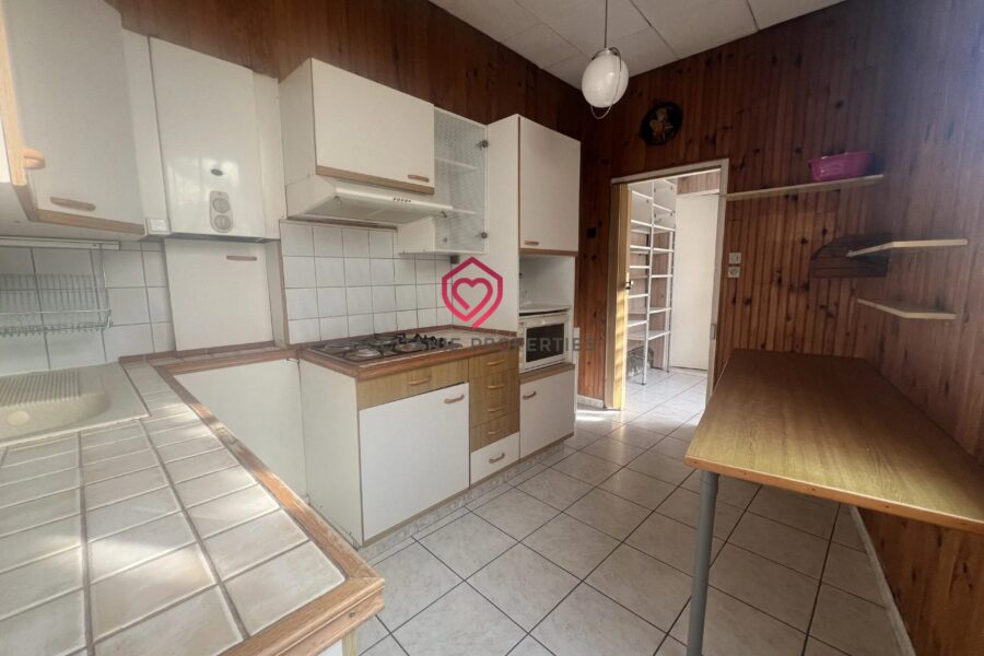 Maison à vendre à Saint-Girons — Vue sur la ville — photo 19