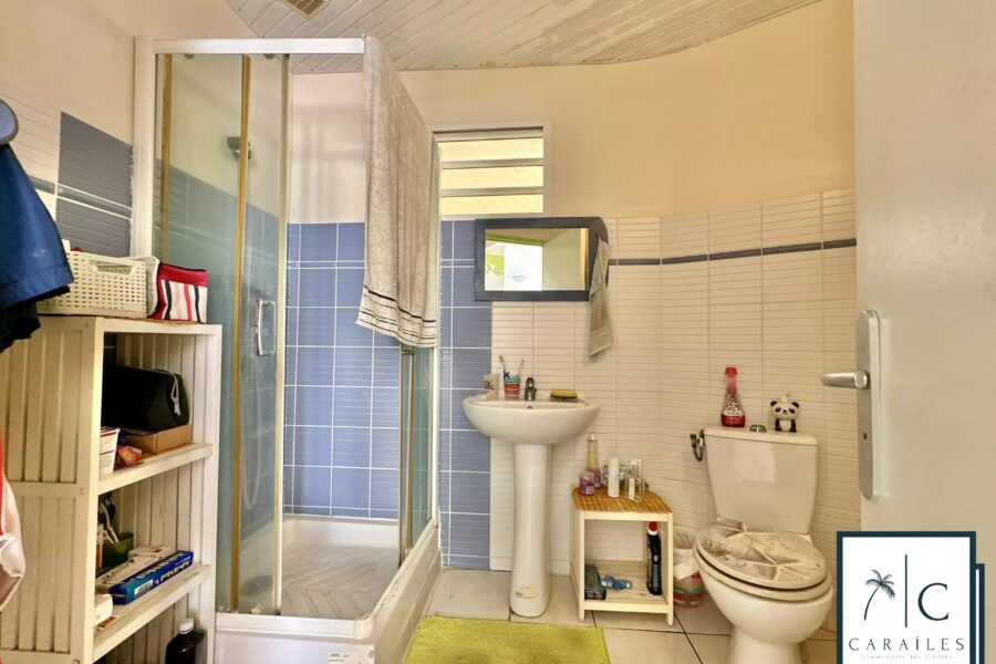 Maison à vendre à Le Robert — Vue nature — photo 28