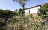 Maison à vendre à Cannes — Vue parc & jardin — photo 3