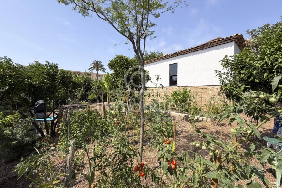Maison à vendre à Cannes — Vue parc & jardin — photo 3