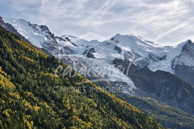 Appartement à vendre à Chamonix-Mont-Blanc