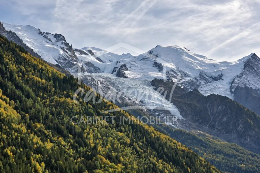 Appartement à vendre à Chamonix-Mont-Blanc — Vue montagne — photo 1