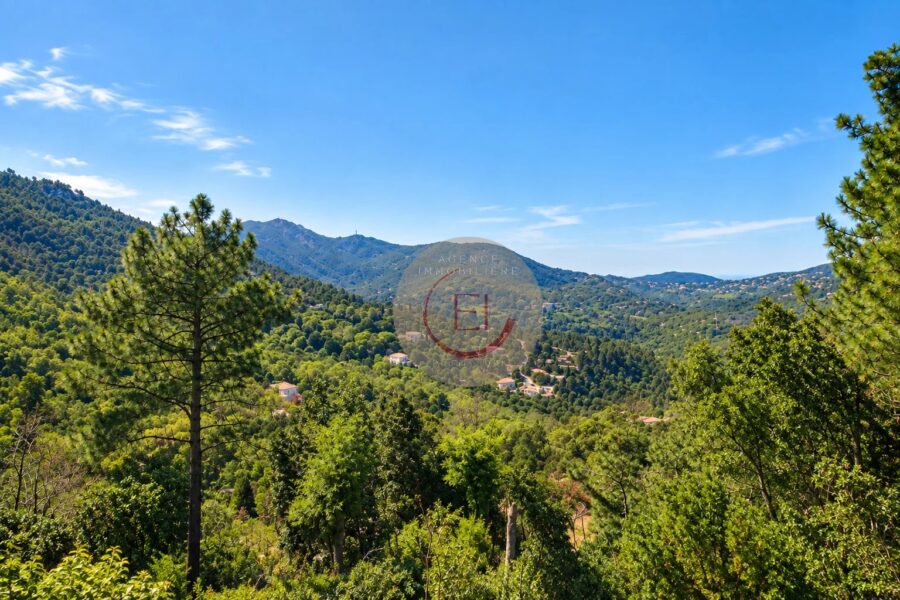 Maison à vendre à Mandelieu-la-Napoule — Vue montagne — photo 1