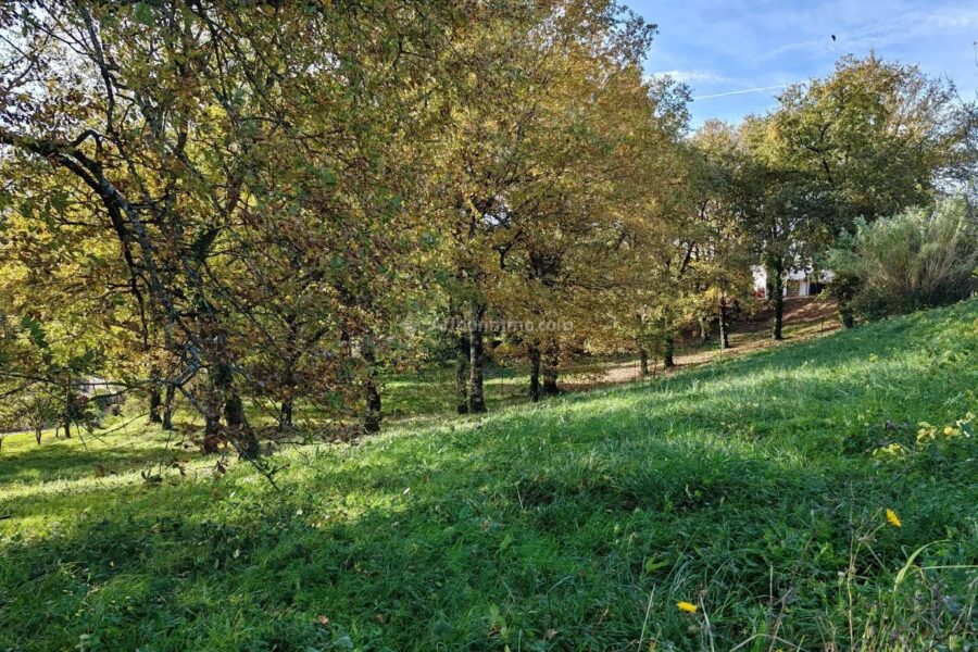 Terrain à vendre à Carmaux — Vue nature — photo 2