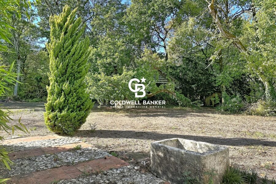 Maison à vendre à Marsilly — Vue nature — photo 21