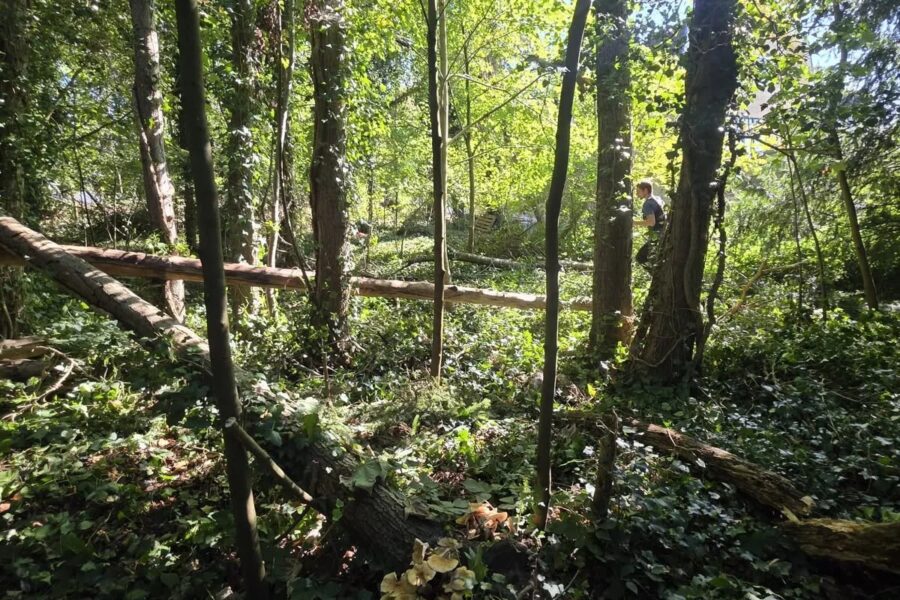 Terrain à vendre à Waterloo — Vue dégagée — photo 10