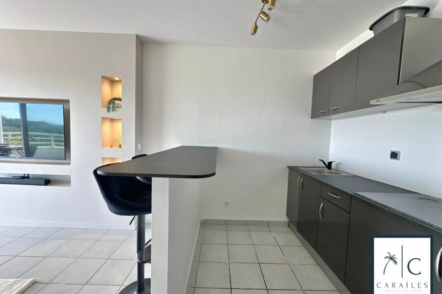 Appartement à vendre à Ducos — Vue mer — photo 7