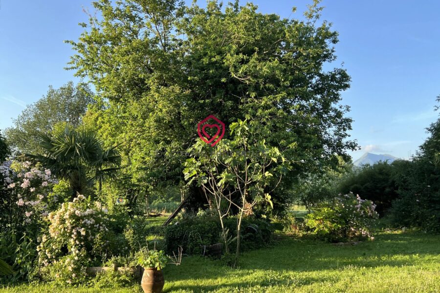 Maison à vendre à Aspet — Vue montagne — photo 37